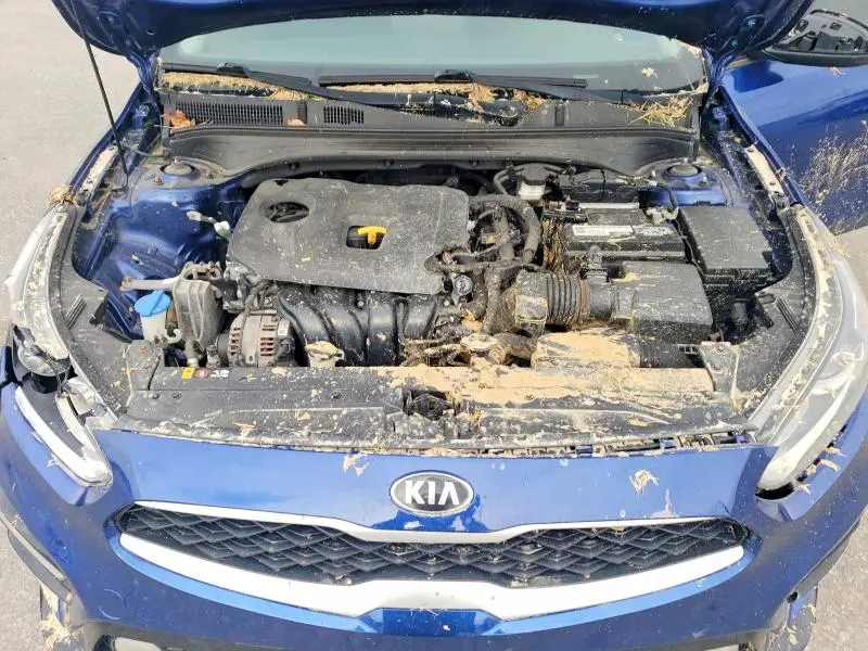 2019 KIA FORTE FE  