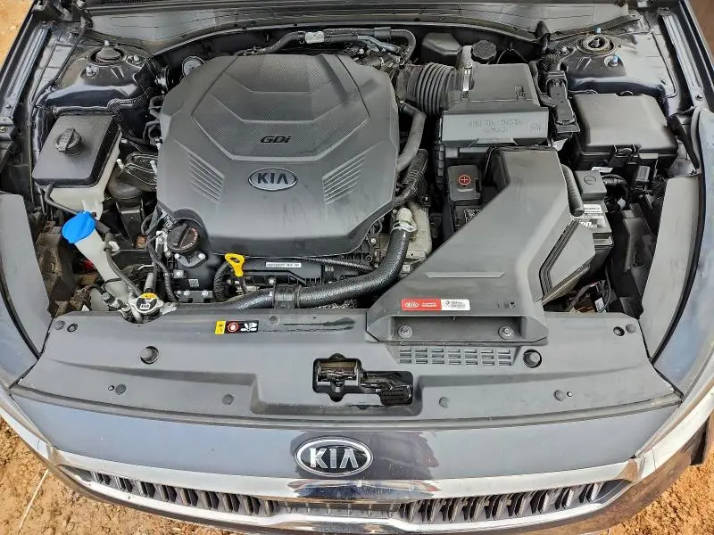 2019 KIA CADENZA LUXURY  