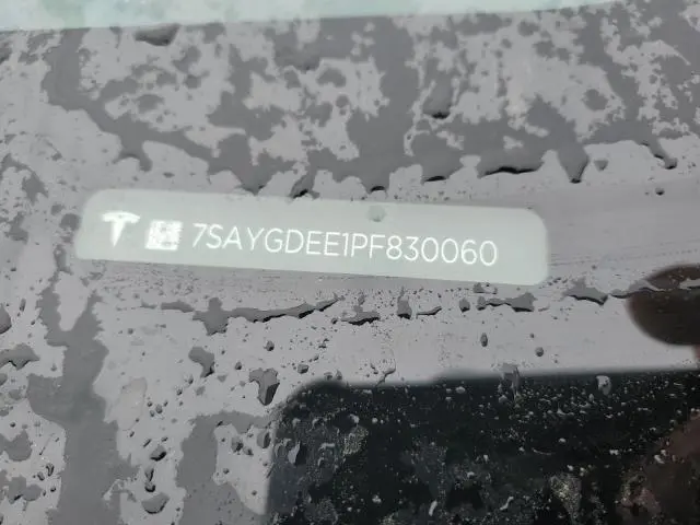 2023 TESLA MODEL Y   