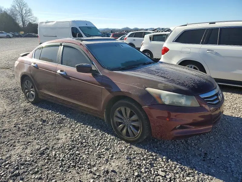 2011 HONDA ACCORD EXL  