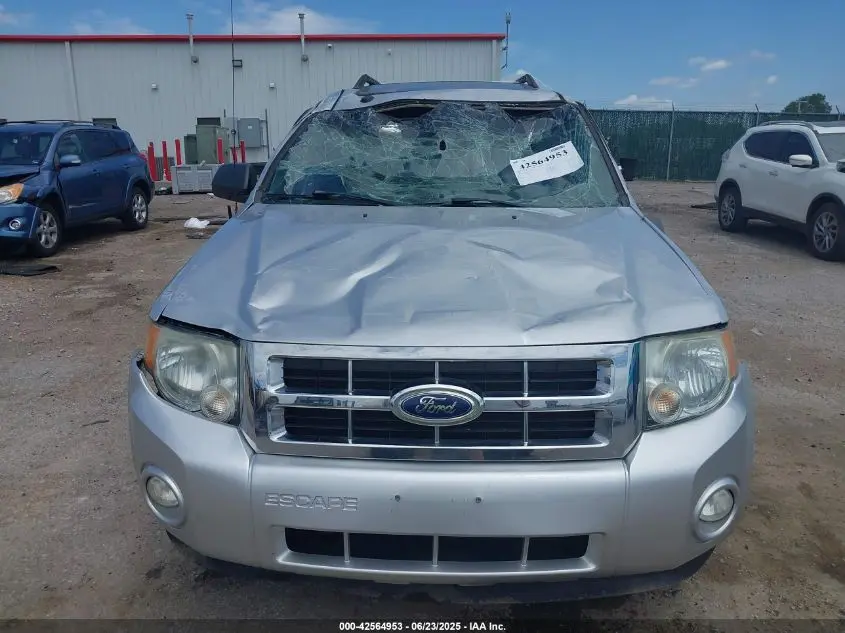 2011 FORD ESCAPE XLT
