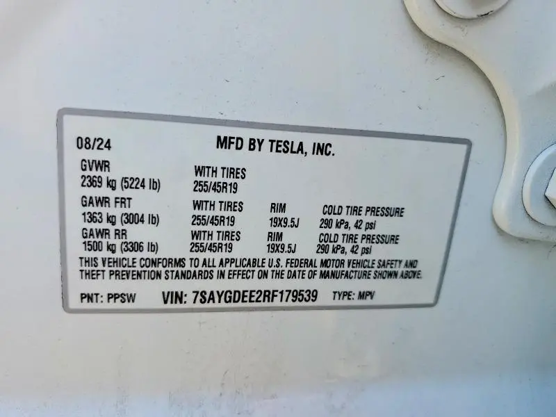 2024 TESLA MODEL Y   
