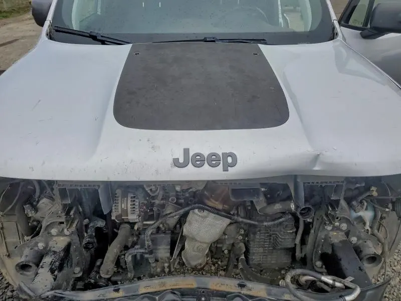 2019 JEEP RENEGADE TRAILHAWK  