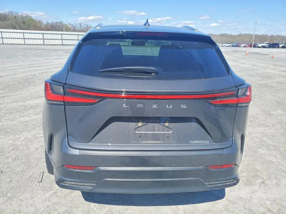 2025 LEXUS NX 250 BASE  