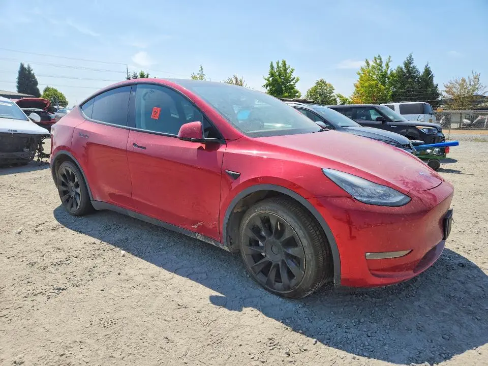 2021 TESLA MODEL Y   