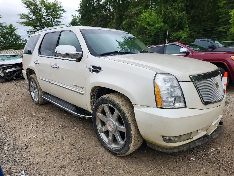 2011 CADILLAC ESCALADE LUXURY  
