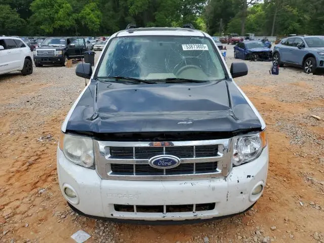2010 FORD ESCAPE XLT