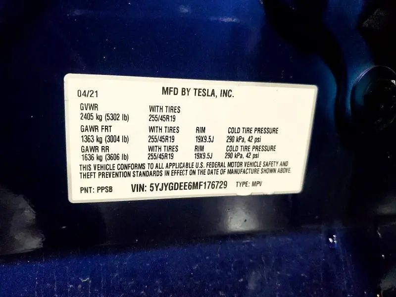2021 TESLA MODEL Y   