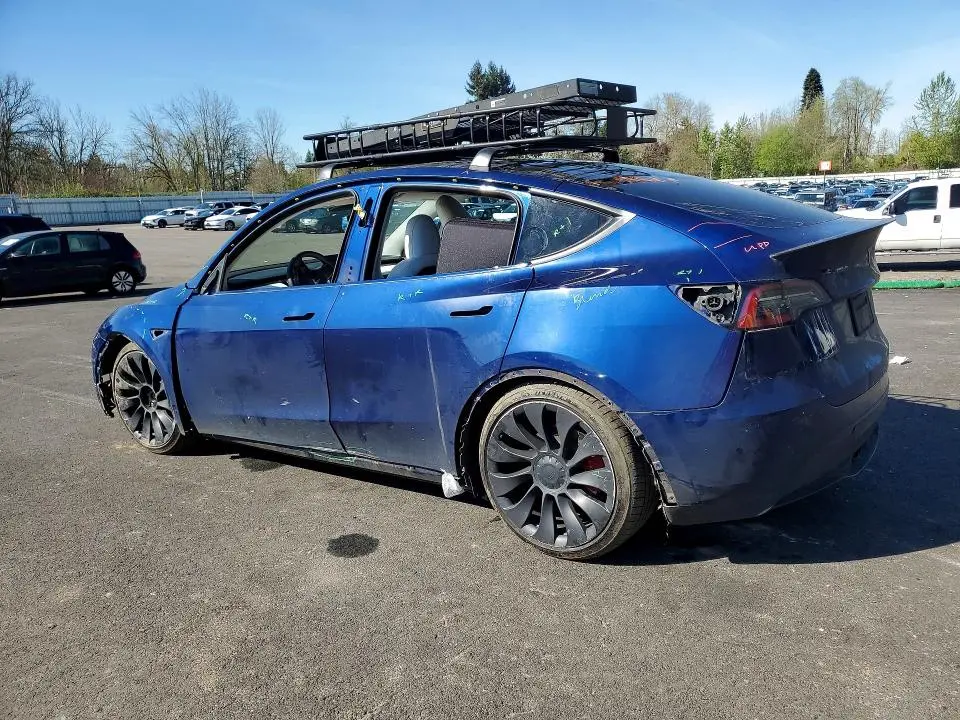 2023 TESLA MODEL Y   