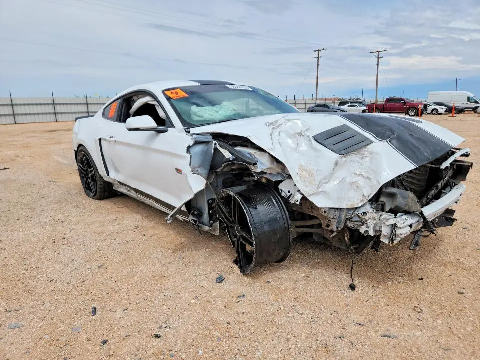 2019 FORD MUSTANG GT  