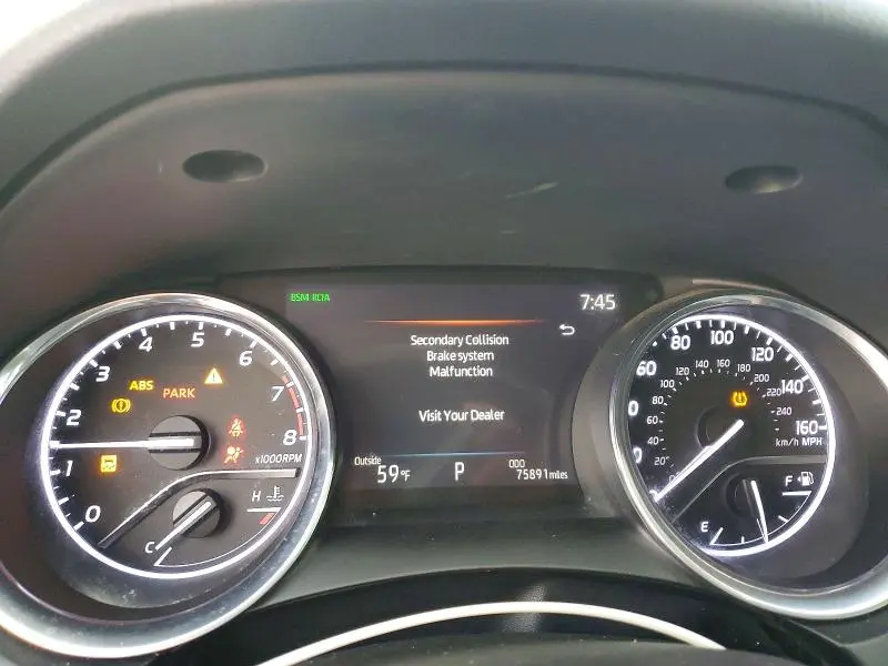 2019 TOYOTA CAMRY XLE  