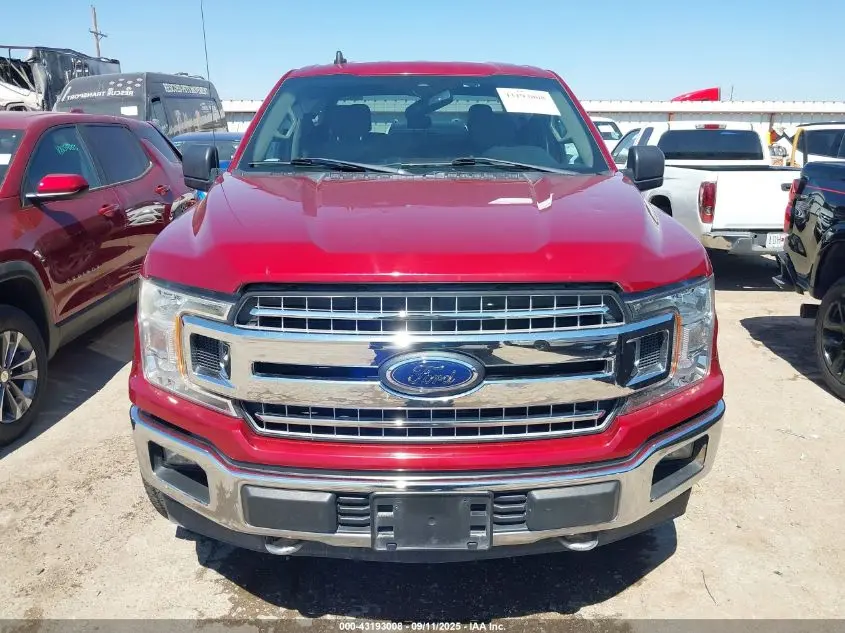 2019 FORD F-150 XLT