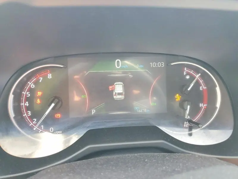 2025 TOYOTA RAV4 LE  