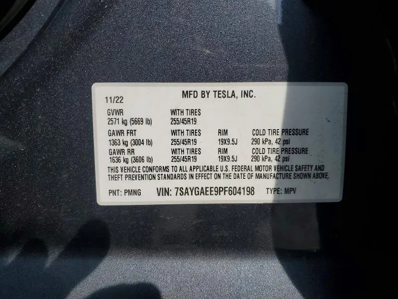 2023 TESLA MODEL Y   
