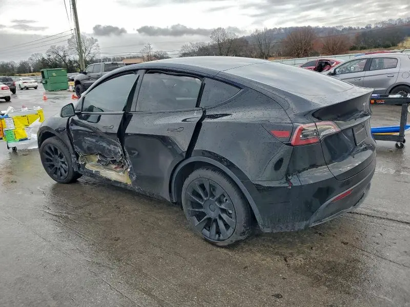 2025 TESLA MODEL Y   