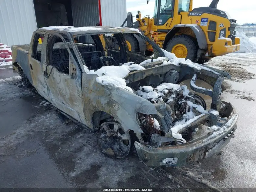 2010 FORD F-150 FX4/HARLEY-DAVIDSON/KING RANCH/LARIAT/PLATINUM/XL/XLT