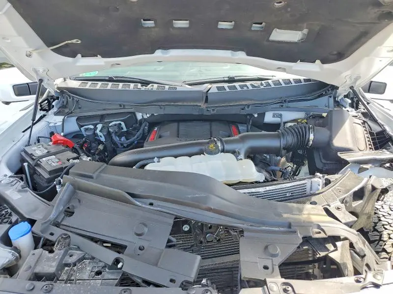 2023 FORD F150 RAPTOR  