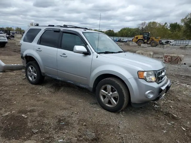 2010 FORD ESCAPE LIMITED  