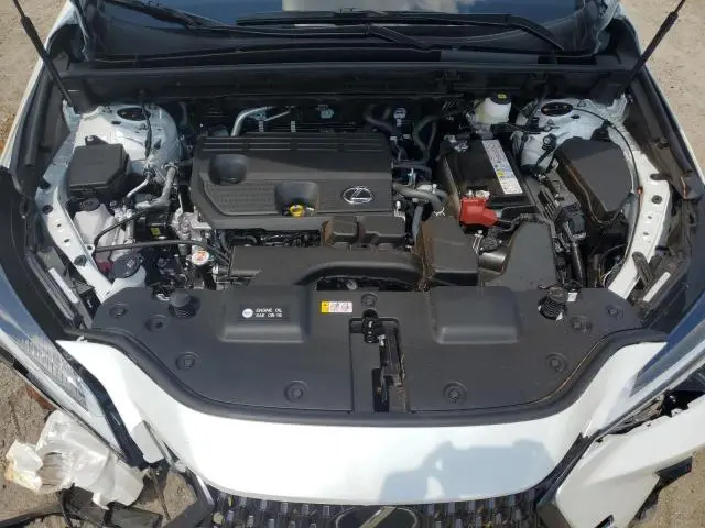 2025 LEXUS NX 250 PREMIUM  