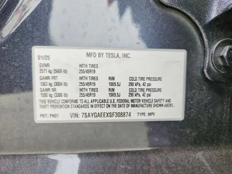 2025 TESLA MODEL Y   