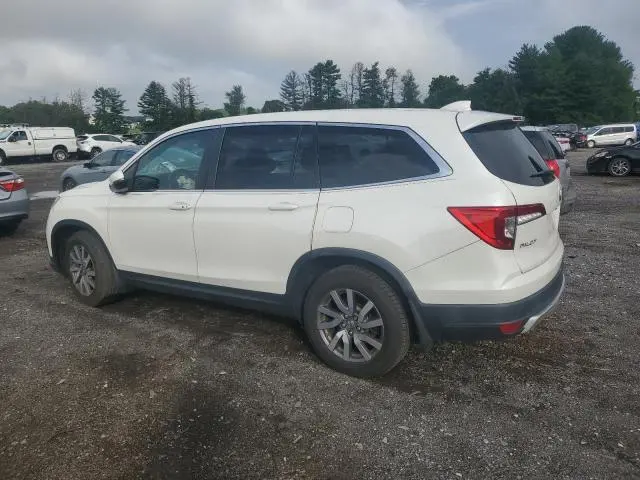 2019 HONDA PILOT EXL  