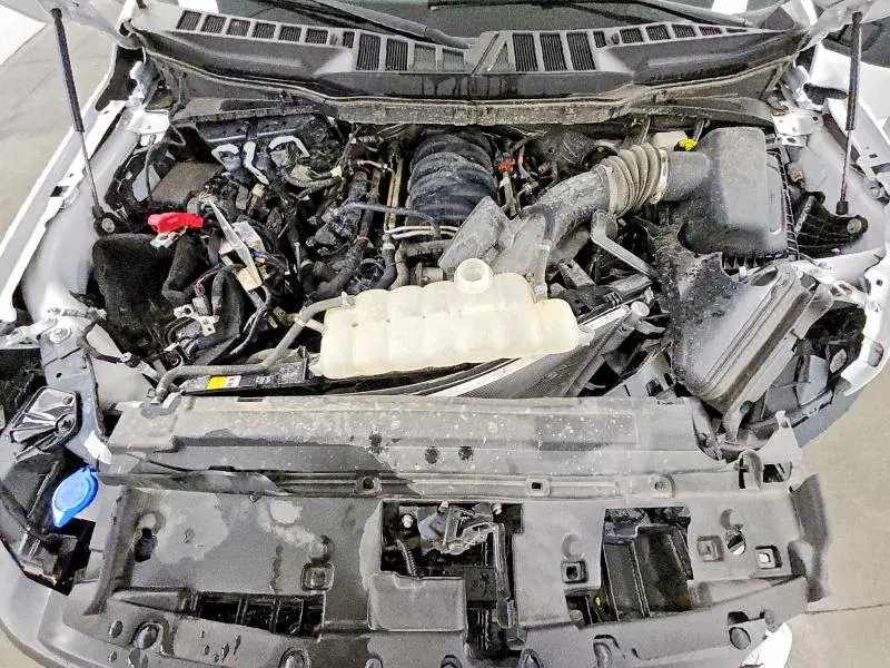 2025 FORD F150 XL  