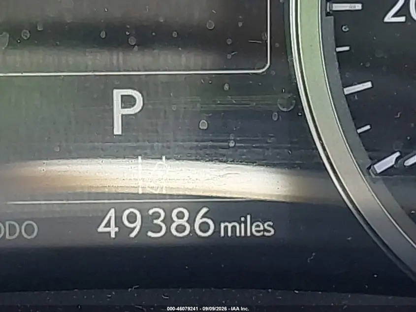 2019 LEXUS NX 300  