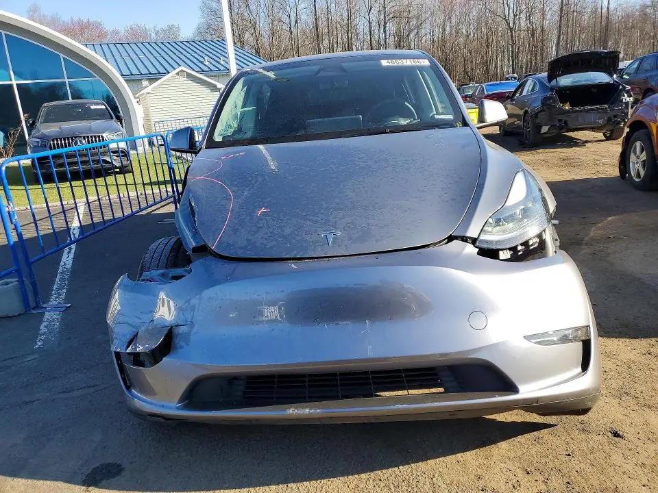 2025 TESLA MODEL Y   