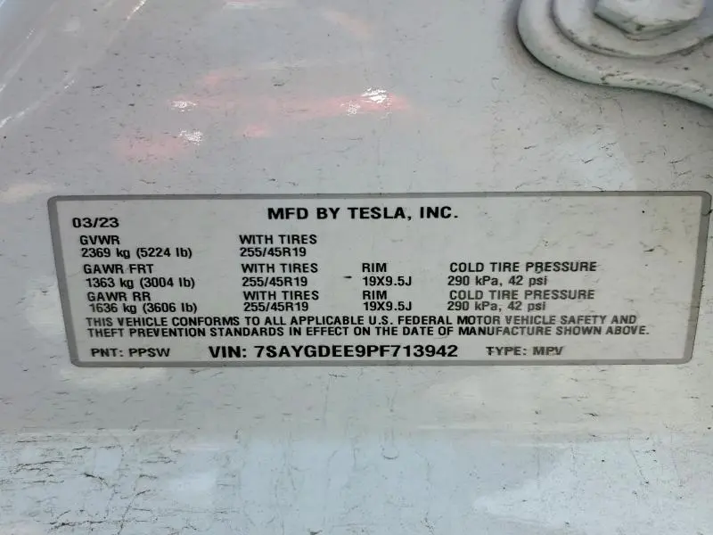 2023 TESLA MODEL Y   