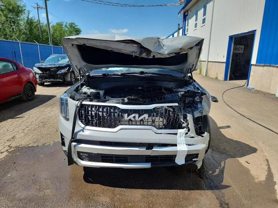2024 KIA TELLURIDE EX  