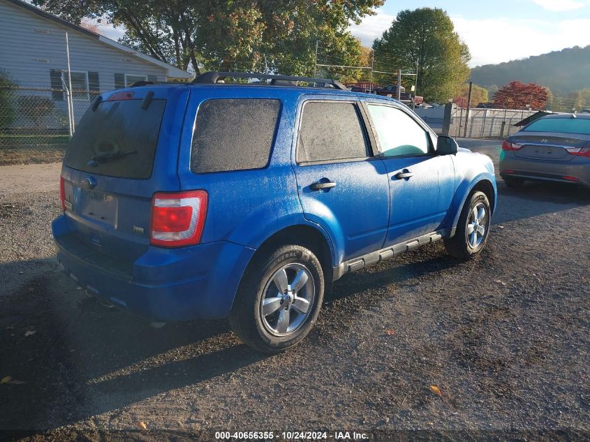 2011 FORD ESCAPE XLT