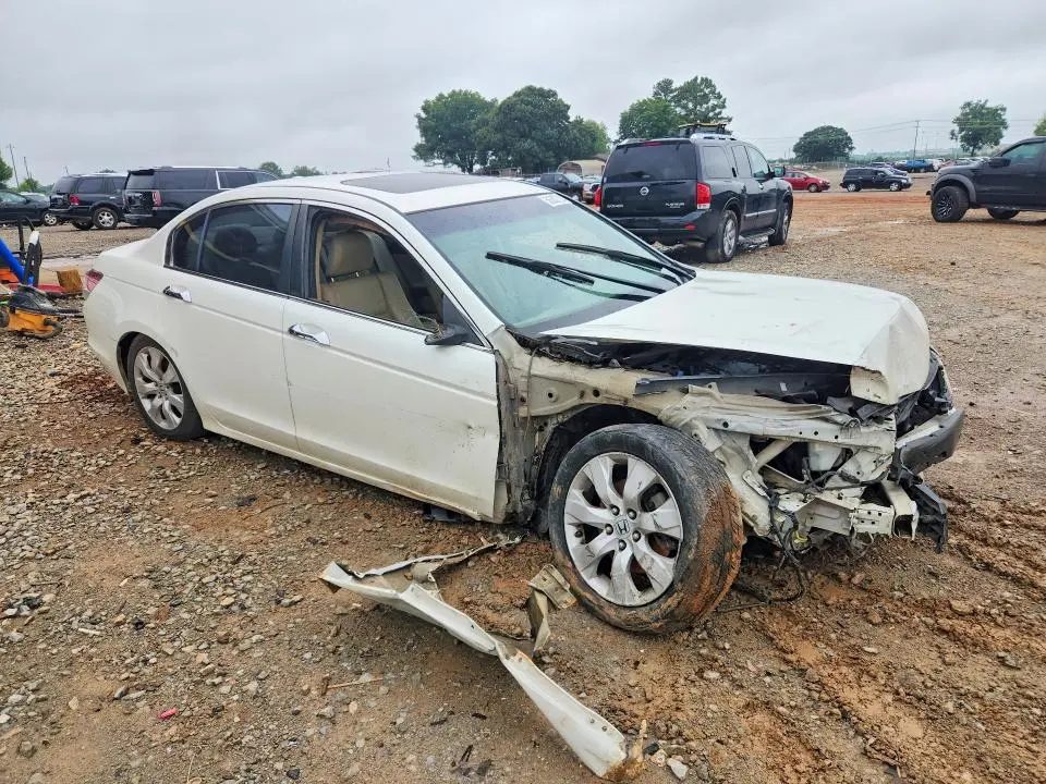 2010 HONDA ACCORD EXL  