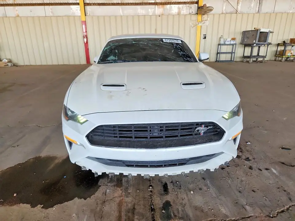 2019 FORD MUSTANG GT  
