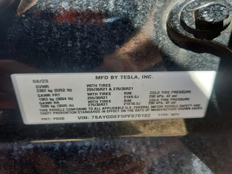 2023 TESLA MODEL Y   