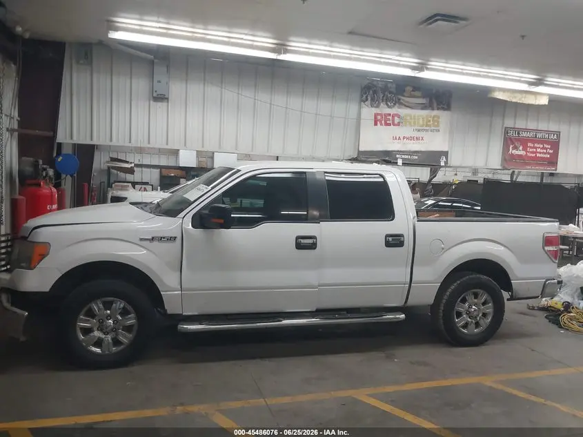 2011 FORD F-150 XL/XLT