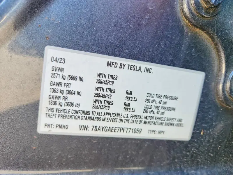 2023 TESLA MODEL Y   