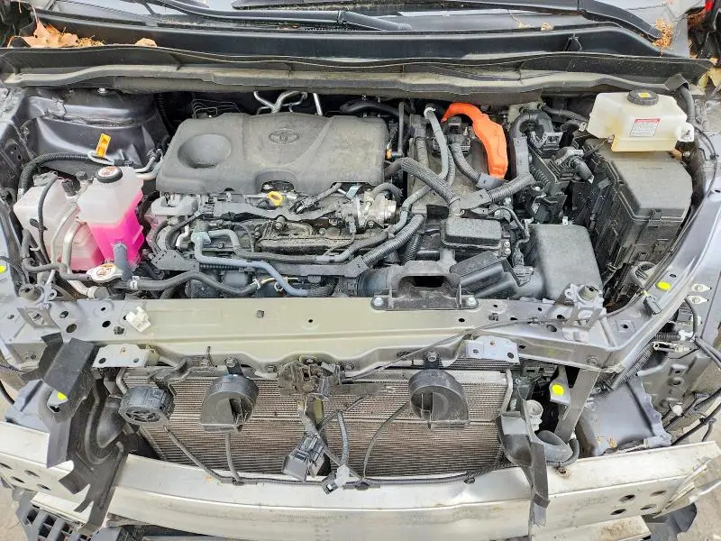 2025 TOYOTA SIENNA XLE 7-PASSENGER  