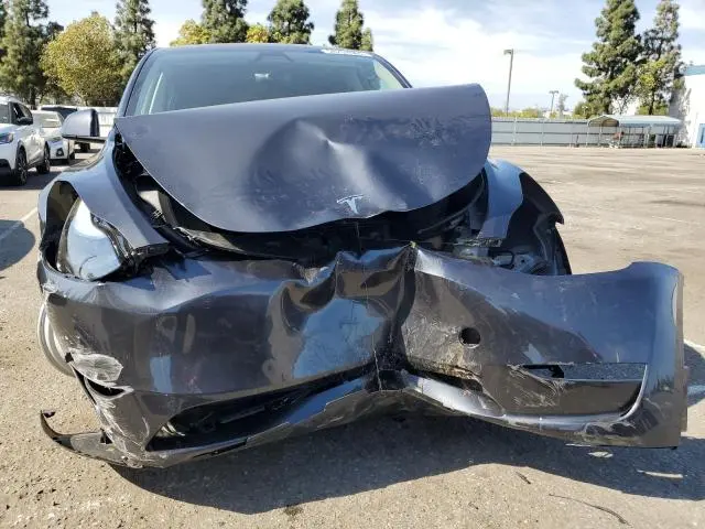 2025 TESLA MODEL Y   