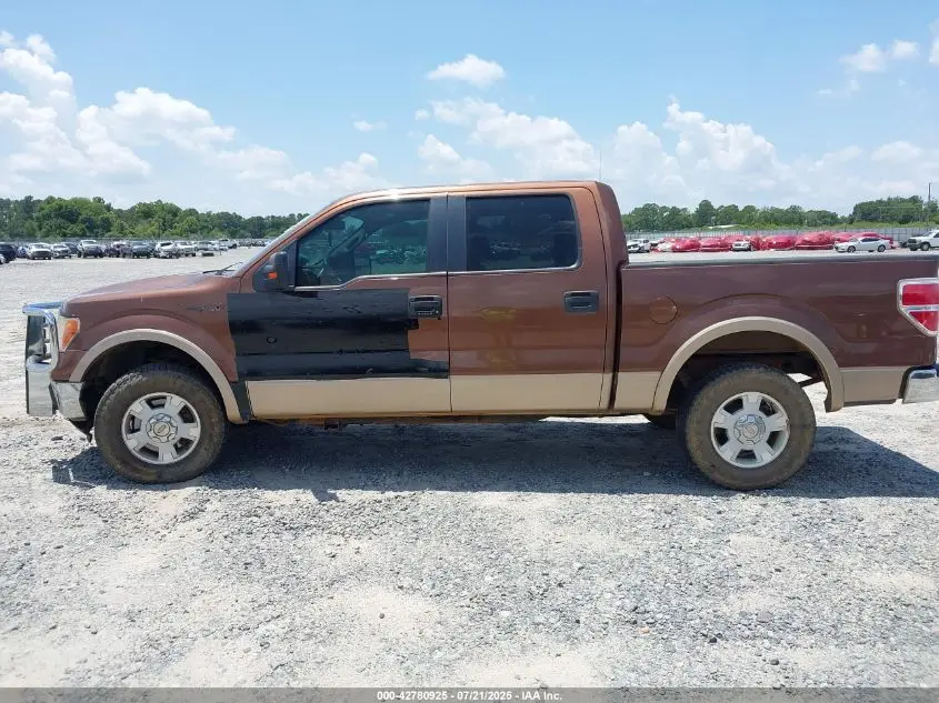 2011 FORD F-150 XLT