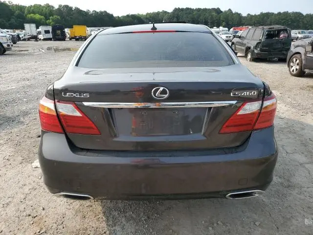 2010 LEXUS LS 460  