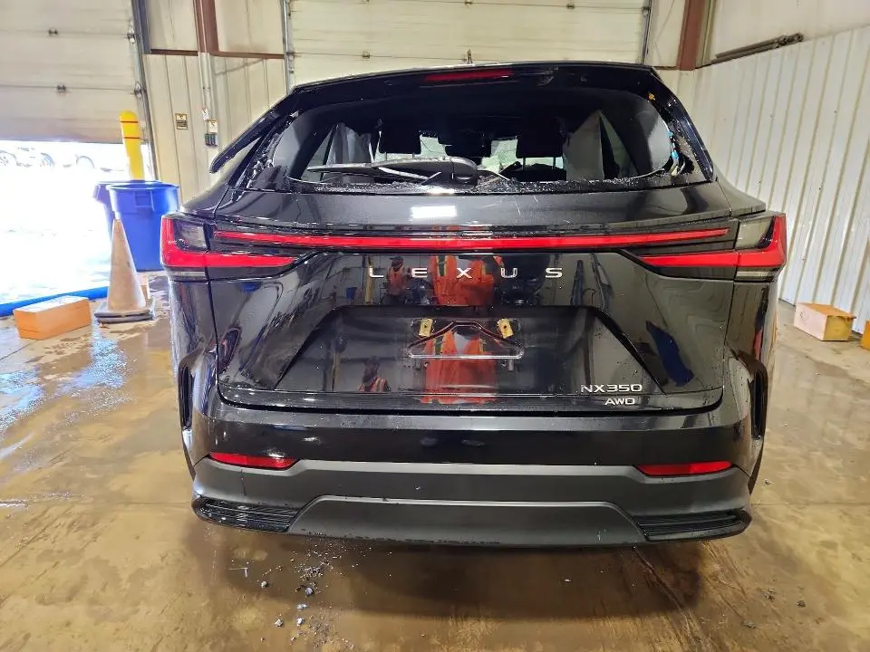 2024 LEXUS NX 350 BASE  
