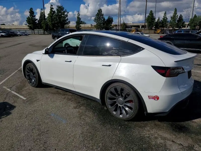 2023 TESLA MODEL Y   
