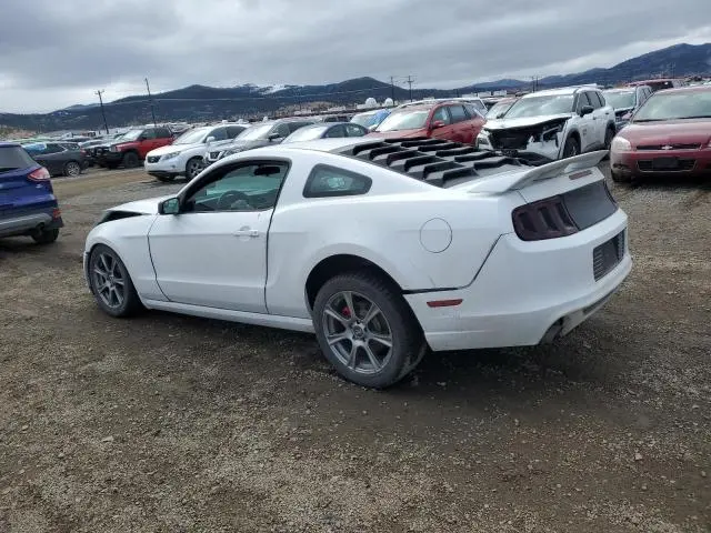 2014 FORD MUSTANG   