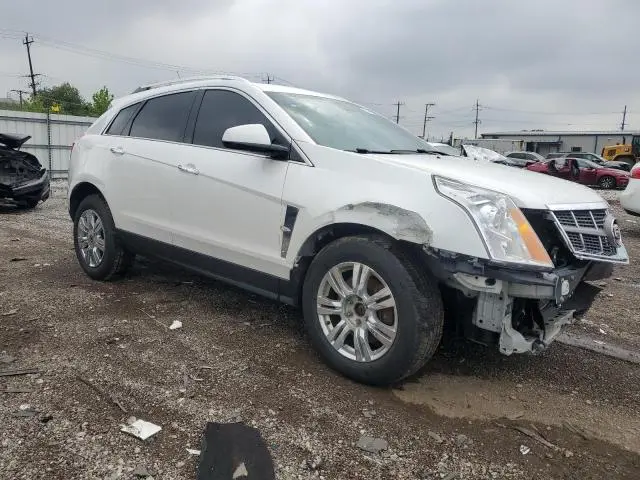 2010 CADILLAC SRX LUXURY COLLECTION  