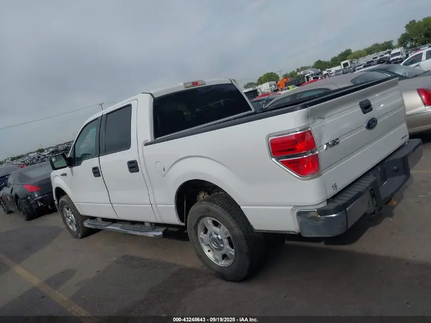 2012 FORD F-150 XLT