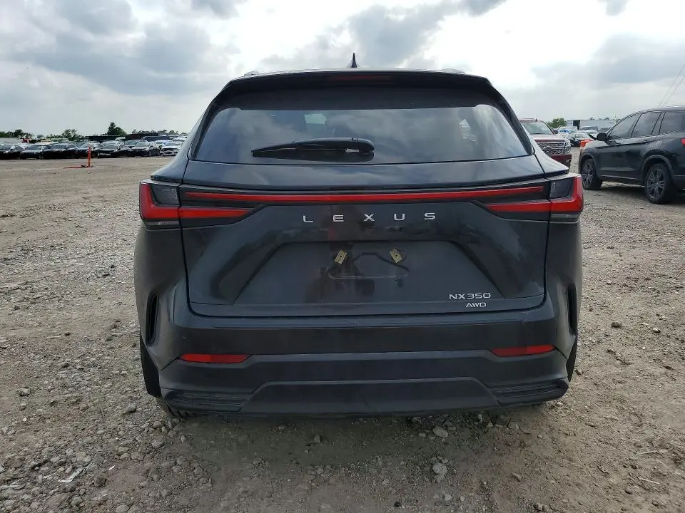 2024 LEXUS NX 350 LUXURY  