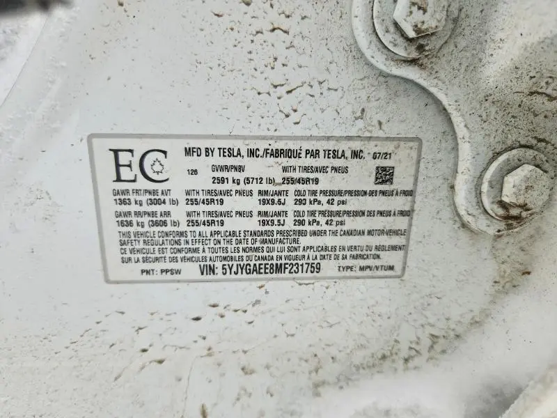 2021 TESLA MODEL Y   