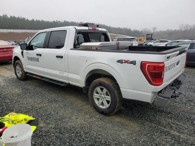 2023 FORD F150 SUPERCREW  