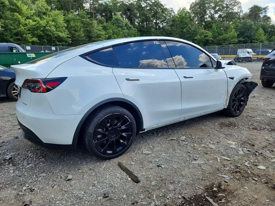 2020 TESLA MODEL Y   