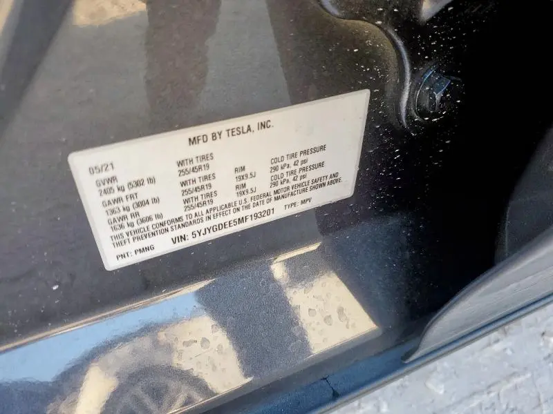 2021 TESLA MODEL Y   